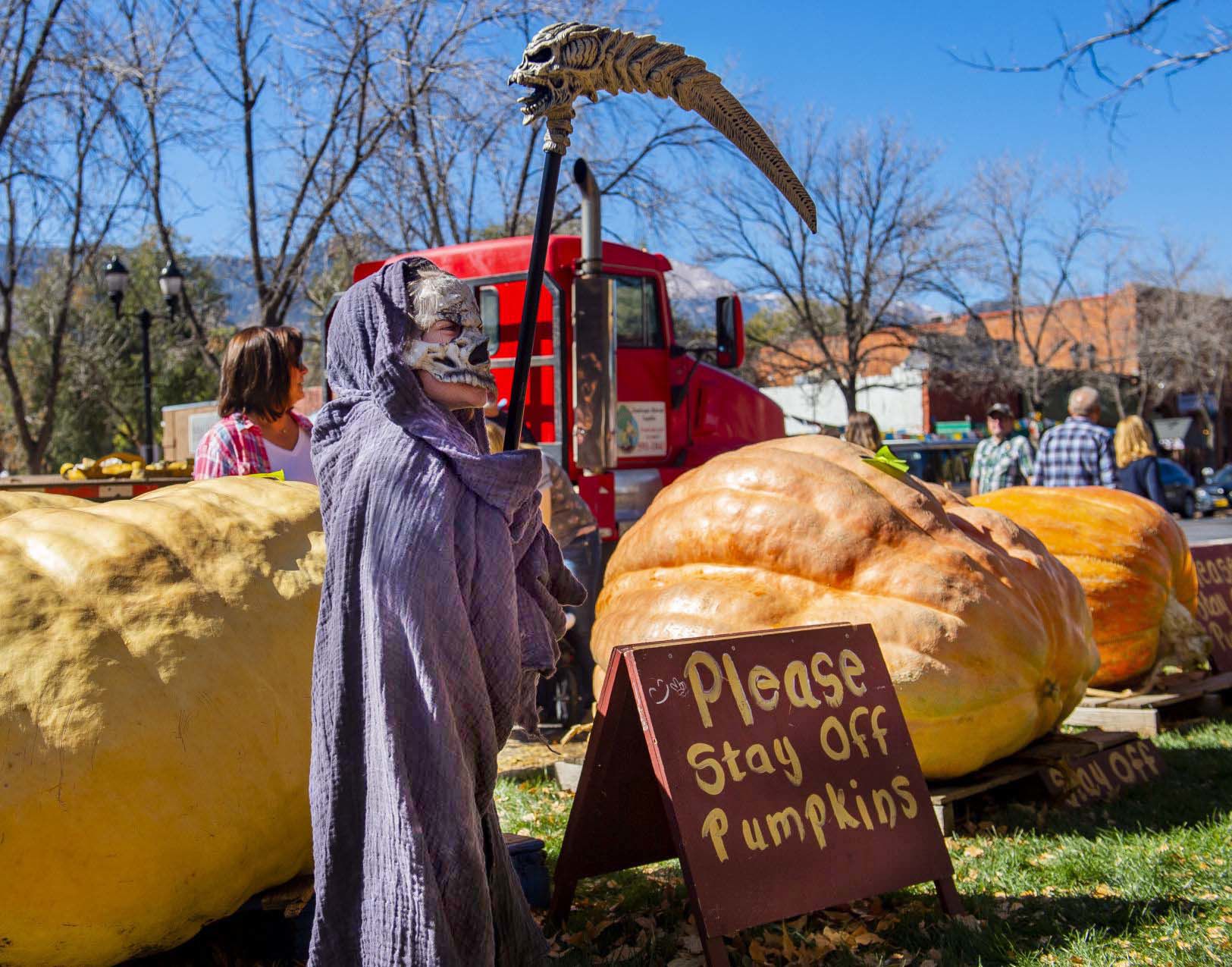 Big Pumpkins